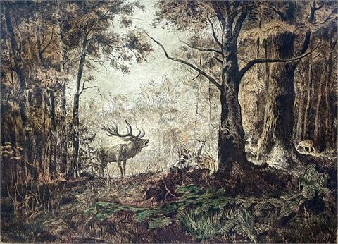 Csergezán Pál | Deer in the forest