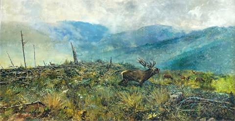 Csergezán Pál | Roaring deer