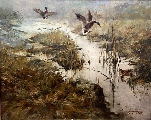 Csergezán Pál | Watering ducks